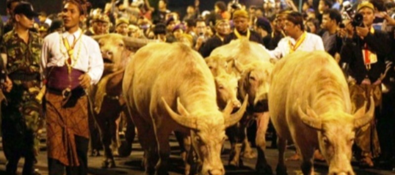 Kirab 1 Suro di Keraton K...